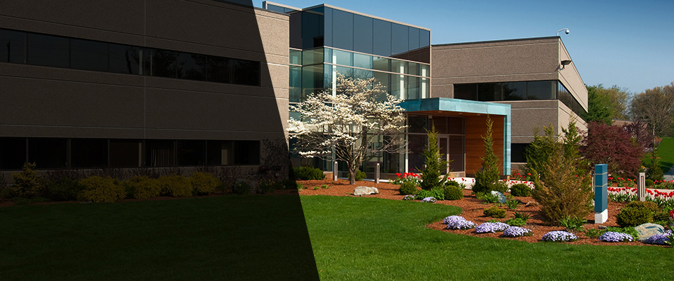 Salida Landscapers