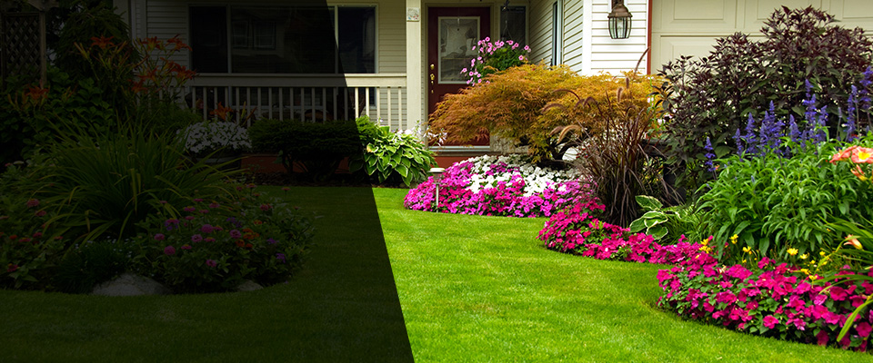 Salida Landscapers