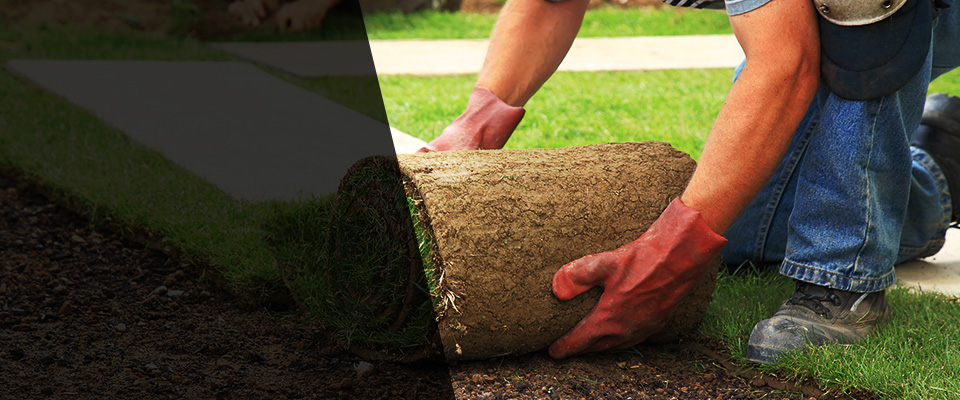 Salida Landscapers